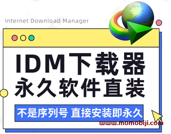 IDM最新版，电脑上最强下载神器，支持网站视频+图片嗅探下载