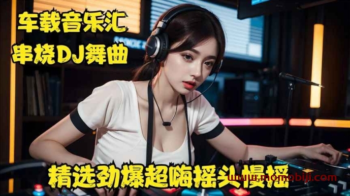 26.4GB⾳乐合集！Leo村⻓⽆损DJ⾼品质串烧合集